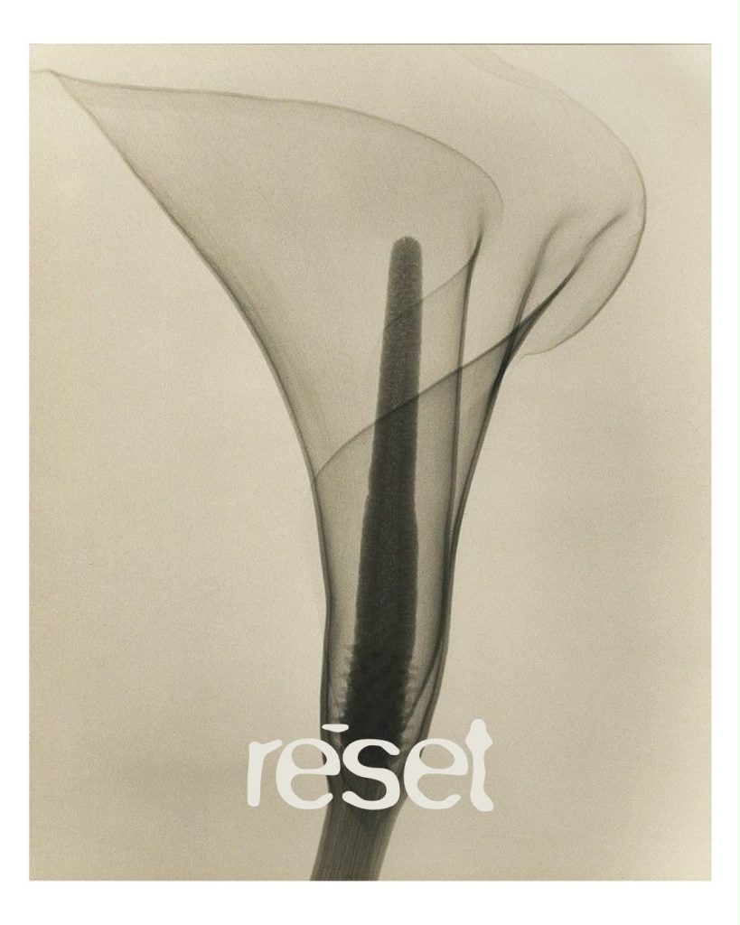 RESET